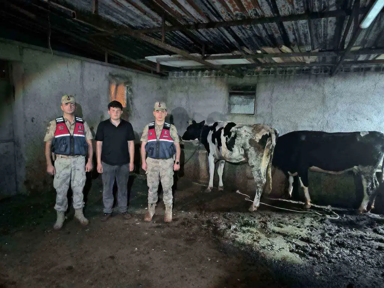 Kilis'te jandarma seferber oldu: Kaybolan hayvanlar bulundu