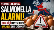 Yumurtalarda Salmonella Salgını