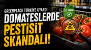 Greenpeace Türkiye'den Domateslerdeki Pestisit Uyarısı