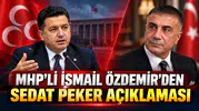 MHP'li İsmail Özdemir'den Sedat Peker Açıklaması