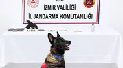 İzmir Urla’da Jandarmadan Yasaklı Madde Operasyonu