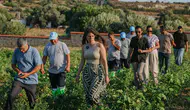Çeşme'de Tarımsal Değerler Korunuyor