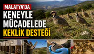 Malatya’da Keneyle Mücadelede Keklik Desteği
