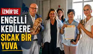İzmir’de Engelli Kedilere Sıcak Bir Yuva