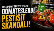 Greenpeace Türkiye'den Domateslerdeki Pestisit Uyarısı