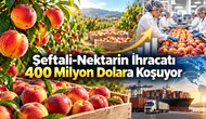 Şeftali-Nektarin İhracatı 400 Milyon Dolara Koşuyor