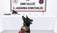 İzmir Urla’da Jandarmadan Yasaklı Madde Operasyonu