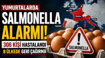 Yumurtalarda Salmonella Salgını