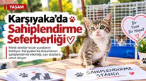 Karşıyaka’da Sahiplendirme Seferberliği