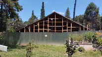 Sekiz asırlık ahşap şaheser dünya mirasına aday: Göğceli Camii’nde restorasyon dönemi