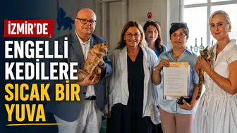 İzmir’de Engelli Kedilere Sıcak Bir Yuva