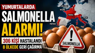 Yumurtalarda Salmonella Salgını