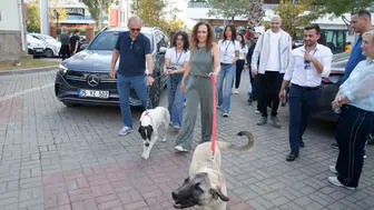 Karşıyaka'da Can Dostlar İçin Dayanışma Etkinliği Düzenlendi