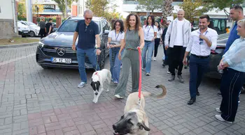 Karşıyaka'da Can Dostlar İçin Dayanışma Etkinliği Düzenlendi