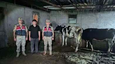 Kilis'te jandarma seferber oldu: Kaybolan hayvanlar bulundu
