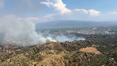 Nazilli'de zeytinlik yangını: Alevlerle mücadele havadan 4 helikopterle sürüyor