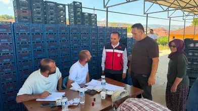 Simav’da kiraz bereketi: Üreticinin emeği sahada kayıt altına alınıyor