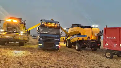 Araban Ovası’nda altın başaklar yüz güldürdü: Hasat mesaisi hız kesmiyor