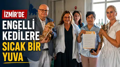 İzmir’de Engelli Kedilere Sıcak Bir Yuva