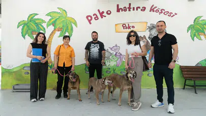 İzmir'de "Patili Dostlar İş Başında" Projesiyle Sahipsiz Köpekler Yeniden Yuvalarına Döndü