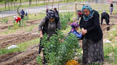 Toprakta Hayat, Sofrada Bereket