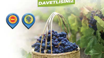 Kavacık Üzüm Festivali 14’üncü kez kapılarını açıyor