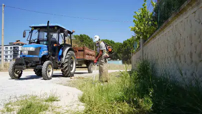 Karaali Mahallesi’nde estetik dokunuş: Yol kenarları ferahladı