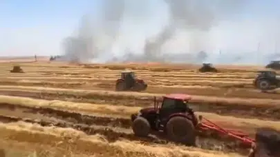Şanlıurfa’da anız dehşeti: Bir hayvan telef oldu, çiftçinin emeği küle döndü