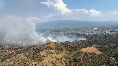 Nazilli'de zeytinlik yangını: Alevlerle mücadele havadan 4 helikopterle sürüyor