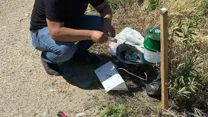 Köşk’te pamuk tarlalarında akıllı takip dönemi: Zararlılar kıskaca alındı