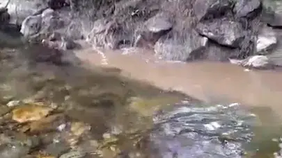Büyüksu Deresi'nde çevre skandalı: Kanalizasyon hattı doğayı tehdit ediyor