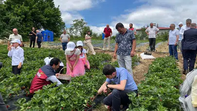 Bin metrede gelen lezzet şöleni: Dürtmen Yaylası’nda hasat vakti