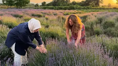 Düzce’nin mor tarlalarında kadın emeği berekete dönüştü