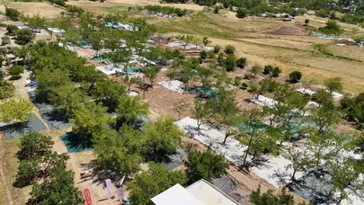 Adıyaman'ın altın meyvesinde yüzler gülüyor: Tut ilçesinde hasat bereketi