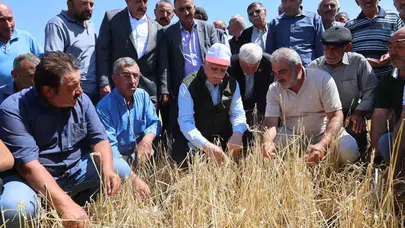 Tarlada afet alarmı: Çiftçinin emeği sular altında kaldı