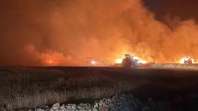 Mardin'de gece yarısı kabusu: Hasat zamanı alevler tarlaları yuttu