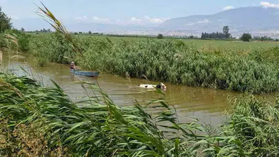 Kırıkhan’da yürekleri ağza getiren olay: Sulama kanalına düşen hayvanı itfaiye kurtardı