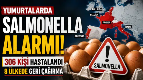 Yumurtalarda Salmonella Salgını