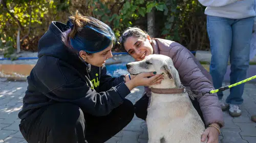 Can Dostları Yeni Sahipleriyle Buluştu