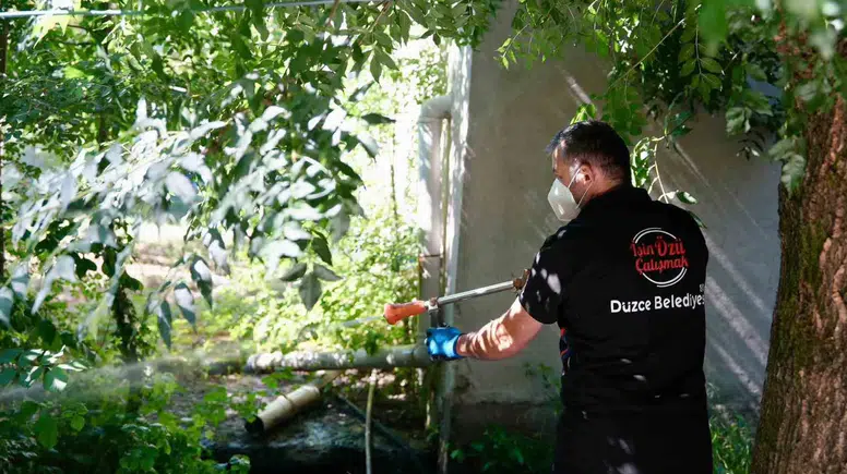 Düzce'de istilacı sinek alarmı: Belediyeden kritik uyarı geldi