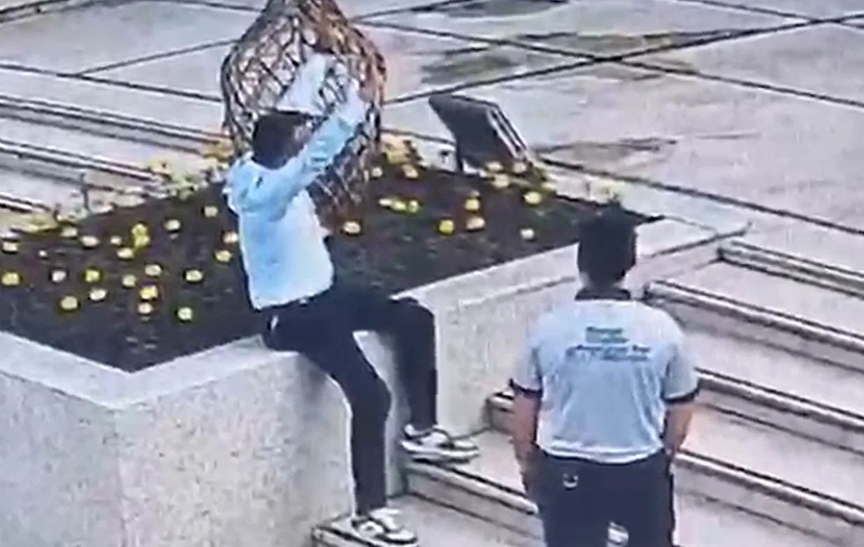 Salihli'de belediye binası önünde şiddet: Saldırganın son durağı cezaevi oldu