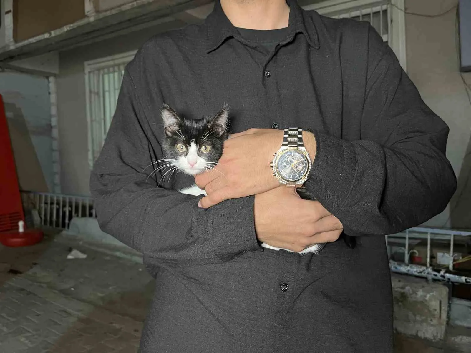 7. kattan düşen Kara Bela'ya şemsiyeli hayat öpücüğü: Mahalleli seferber oldu