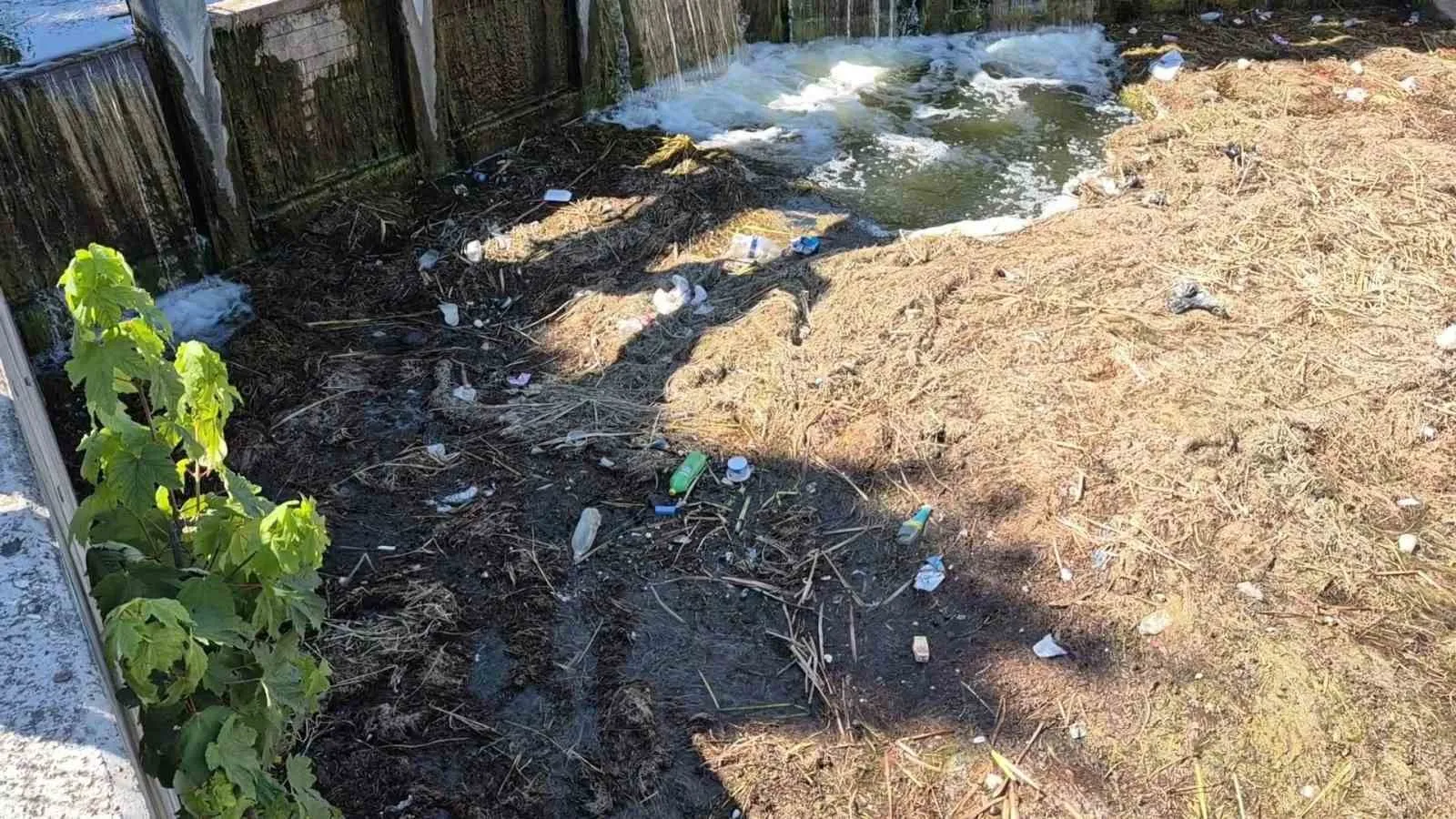 Eskişehir’in gerdanlığı Porsuk’ta kirlilik alarmı: Vatandaşlar isyanda