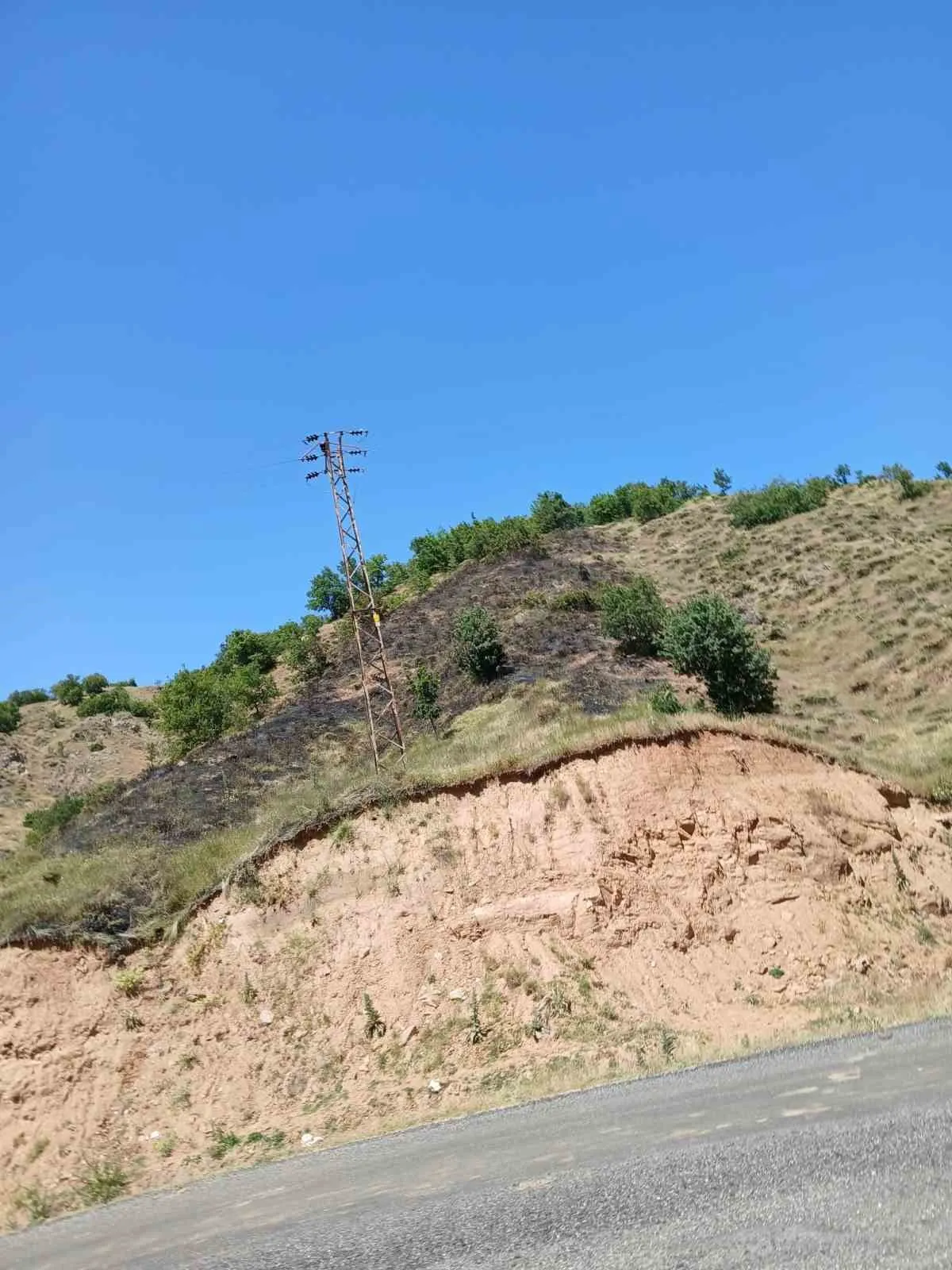 Bingöl'de ormanlık alanda korkutan yangın: Ekipler zamanla yarıştı