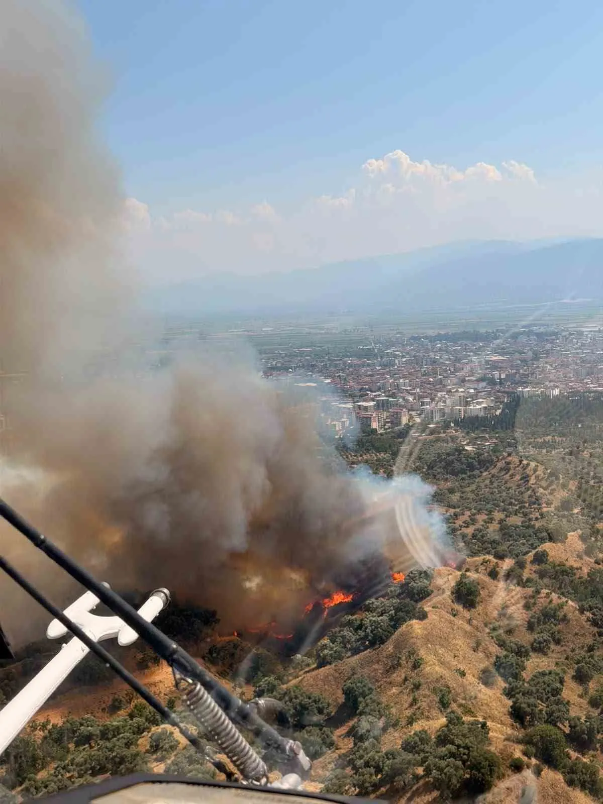 Nazilli'de zeytinlik yangını: Alevlerle mücadele havadan 4 helikopterle sürüyor