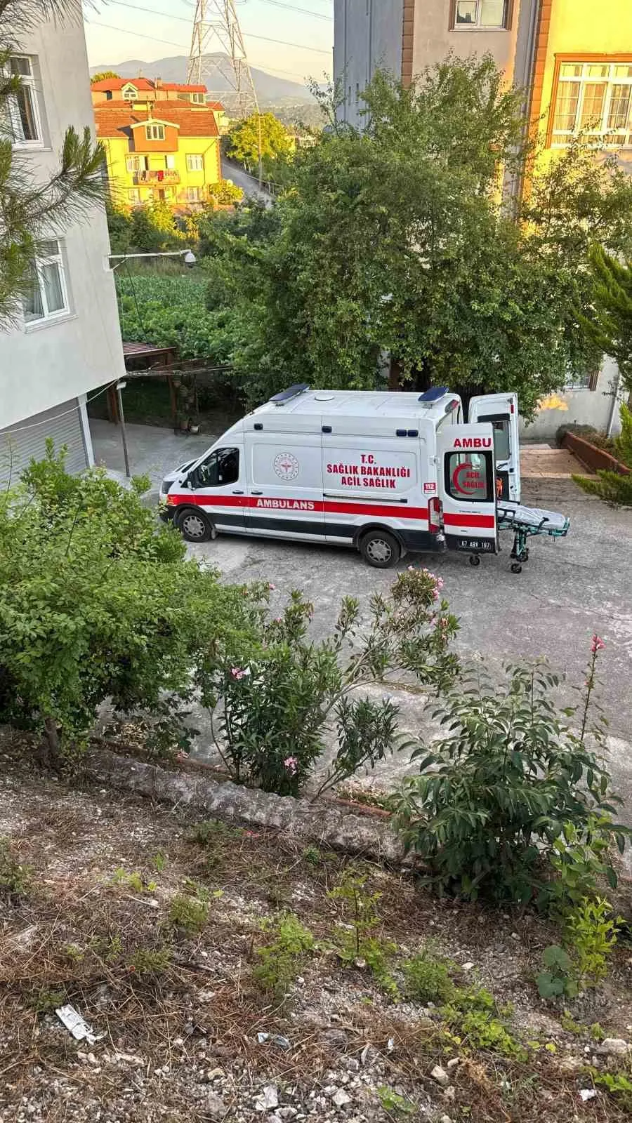 Dut keyfi hastanede bitti: Ağaçtan düşen vatandaş ağır yaralandı