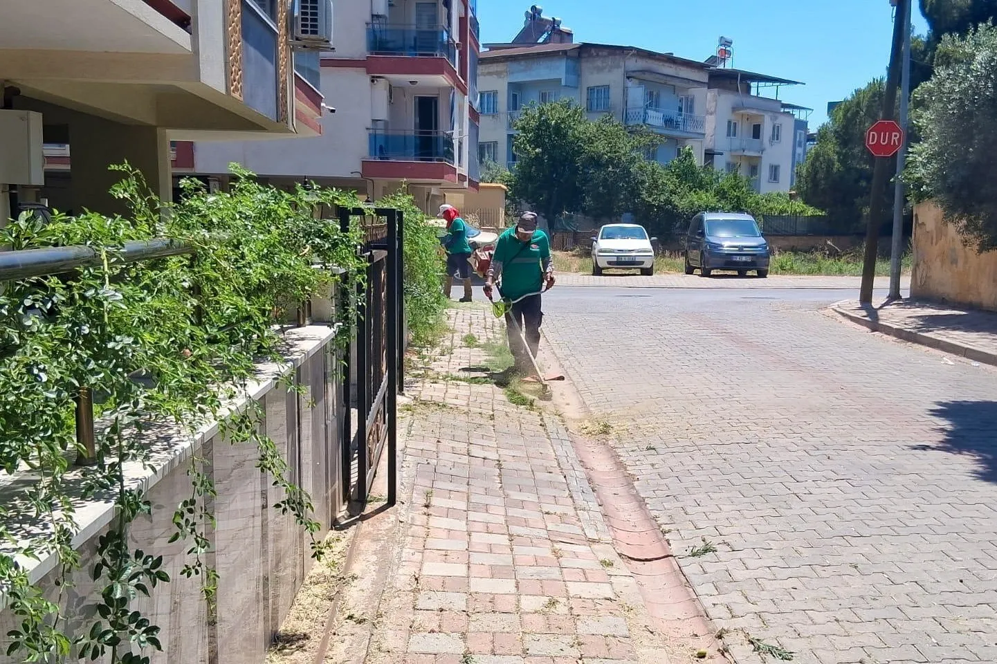 Efeler’de yaşam alanları güzelleşiyor: Belediye ekiplerinden eş zamanlı operasyon