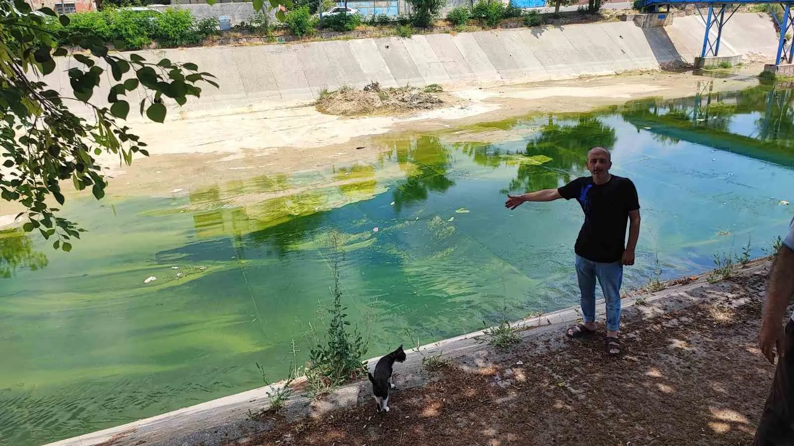 Adana'da sinek kabusu: Vatandaşlar pencereleri açamaz hale geldi