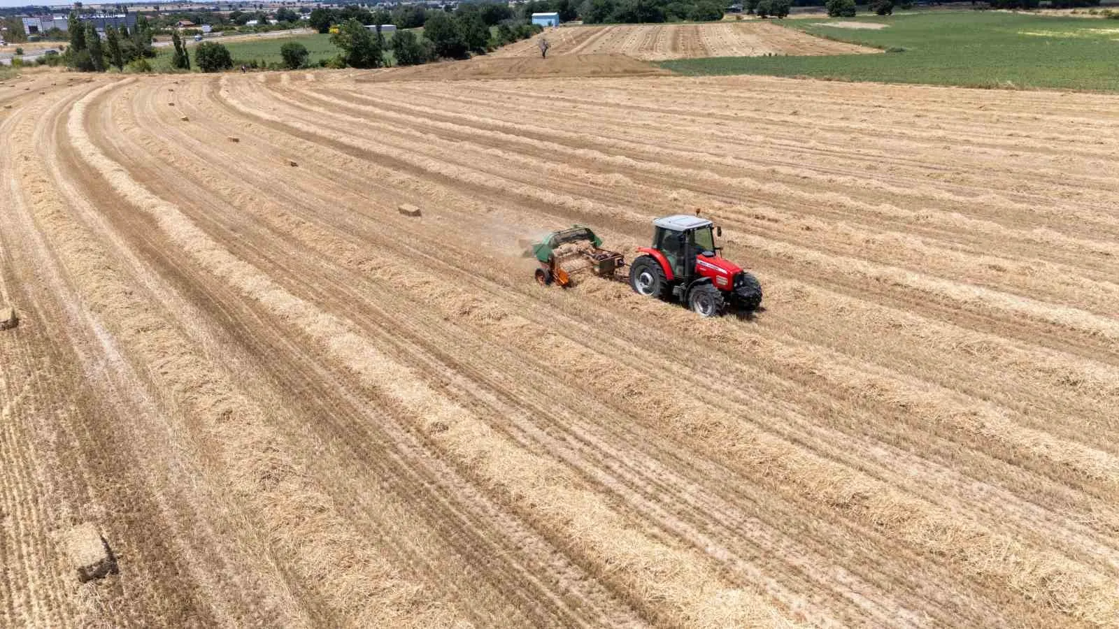 Kırklareli tarlalarında ter dökenlerin zorlu mesaisi: Günde 600 balyayı sırtlıyorlar