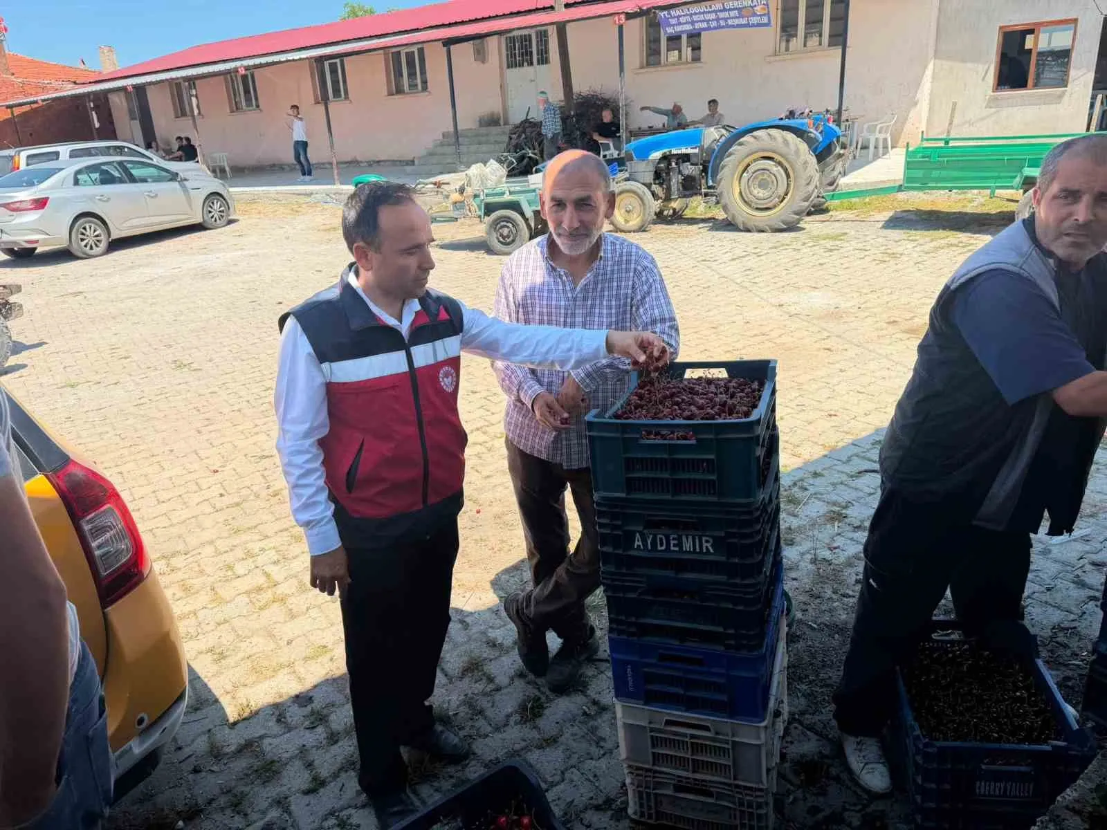 Simav’da kiraz bereketi: Üreticinin emeği sahada kayıt altına alınıyor